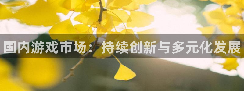 杜邦娱乐注册开户：国内游戏市场：持续创新与多元化发展