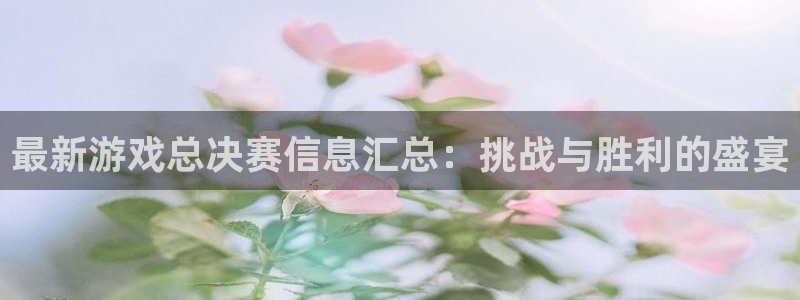 杜邦娱乐游戏：最新游戏总决赛信息汇总：挑战与胜利的盛宴