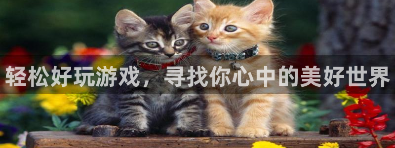 杜邦娱乐注册平台：轻松好玩游戏，寻找你心中的美好世界