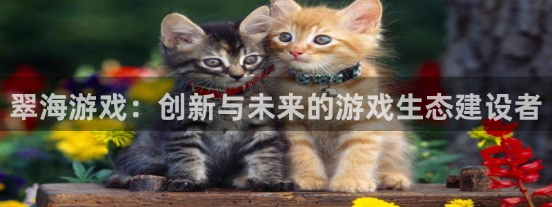 杜邦娱乐网页版地址：翠海游戏：创新与未来的游戏生态建设者