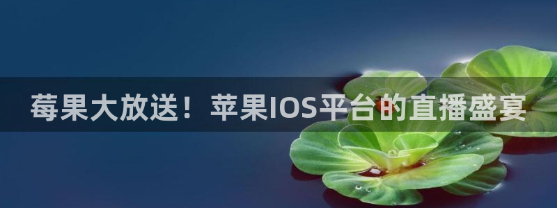 857体育直播回放：莓果大放送！苹果IOS平台的直播盛宴