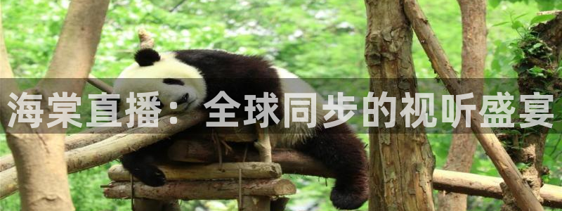 857足球体育赛事直播：海棠直播：全球同步的视听盛宴