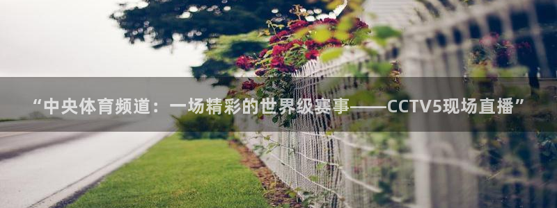 857体育赛事直播平台：“中央体育频道：一场精彩的世界级赛事——CCTV5现场直播”