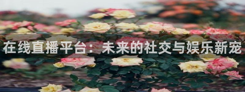 857体育直播在线观看免费下载：在线直播平台：未来的社交与娱乐新宠
