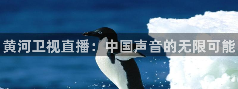 857直播体育赛事直播：黄河卫视直播：中国声音的无限可能