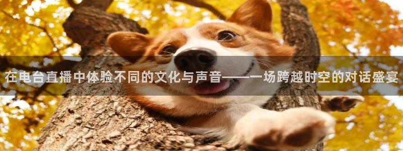 857直播平台看足球：在电台直播中体验不同的文化与声音——一场跨越时空的对话盛宴