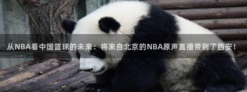 857足球体育直播：从NBA看中国篮球的未来：将来自北京的NBA原声直播带到了西安！